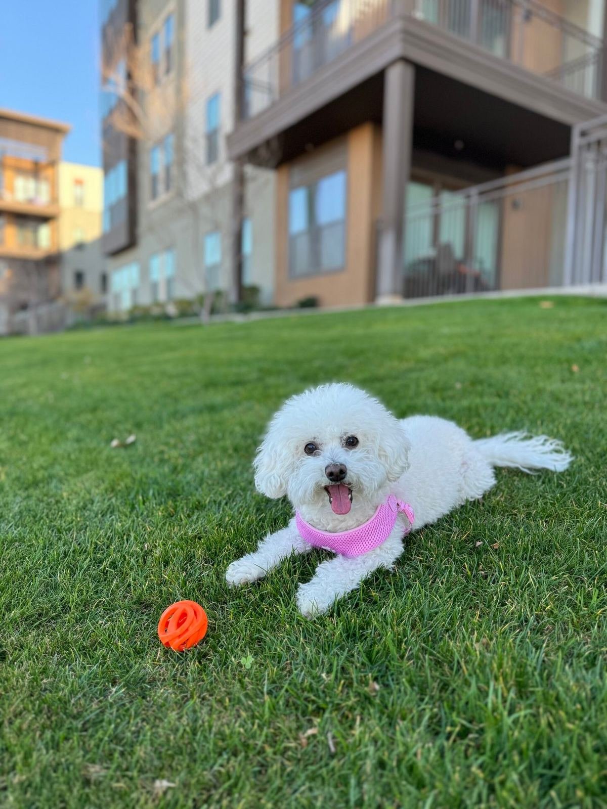 Ella